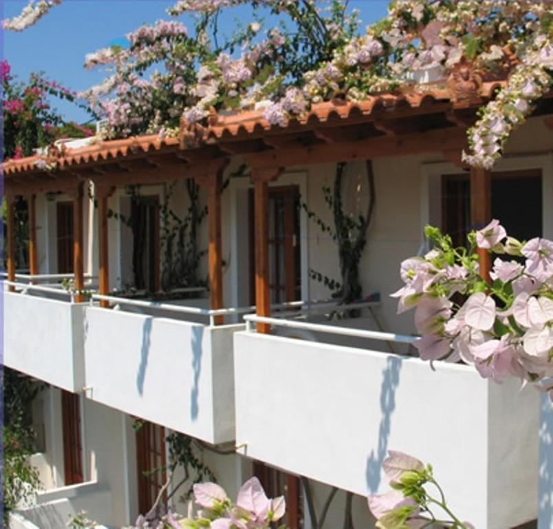 Costantonia Holiday Apartments Agia Marina (Aegina) Exterior foto