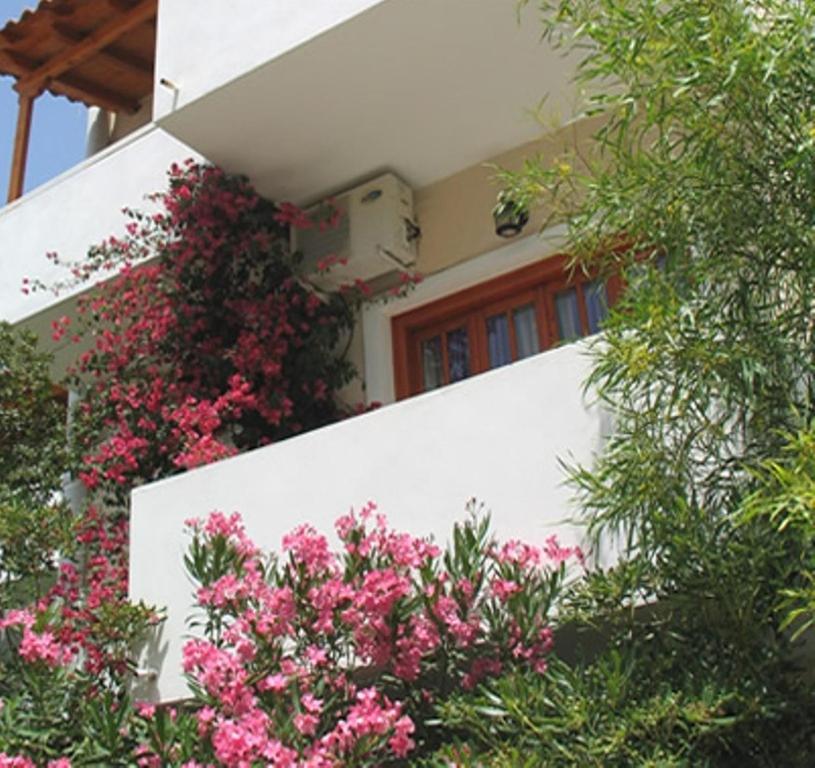 Costantonia Holiday Apartments Agia Marina (Aegina) Exterior foto